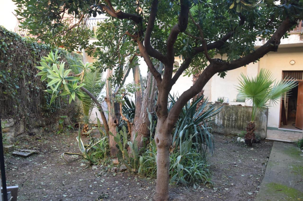 Artroom Garden Noto Exterior photo