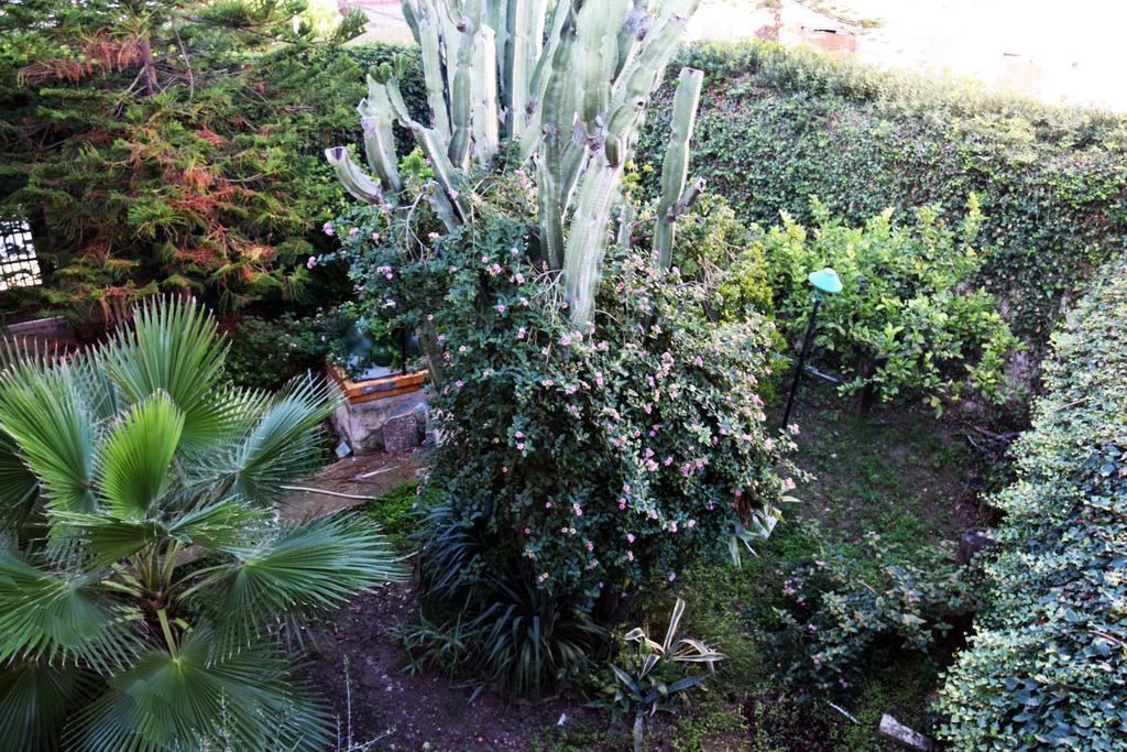 Artroom Garden Noto Exterior photo