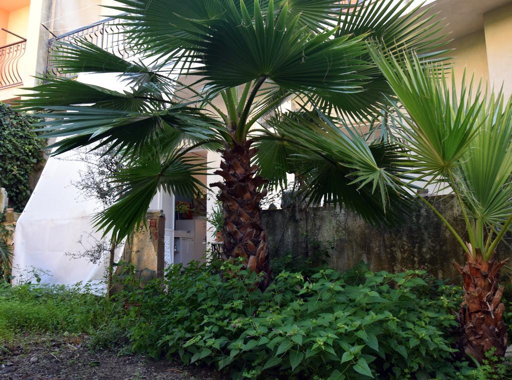 Artroom Garden Noto Exterior photo